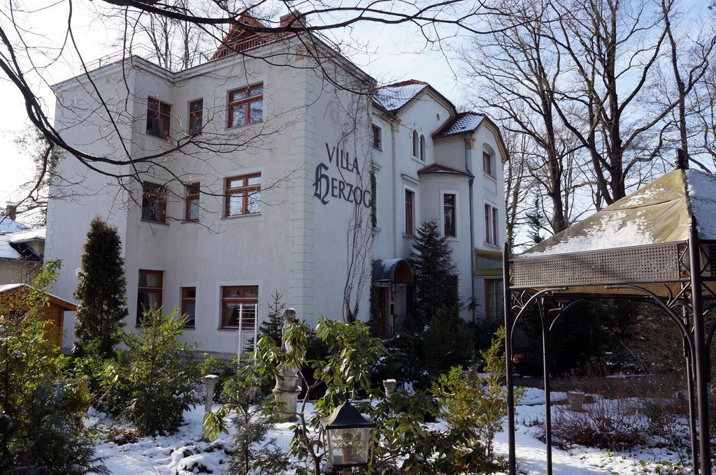 Hotel Villa Herzog Dresden Exterior photo