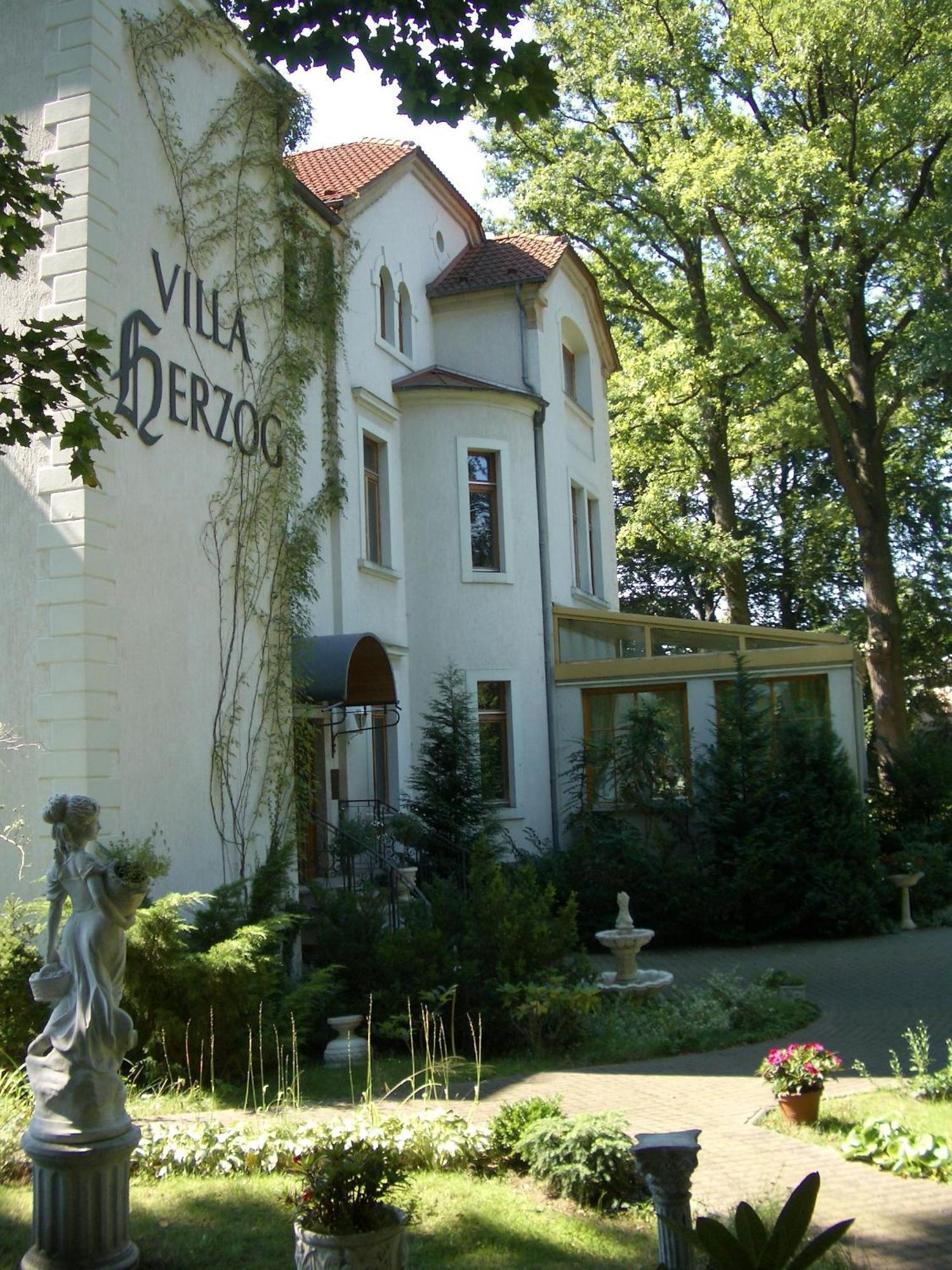 Hotel Villa Herzog Dresden Exterior photo
