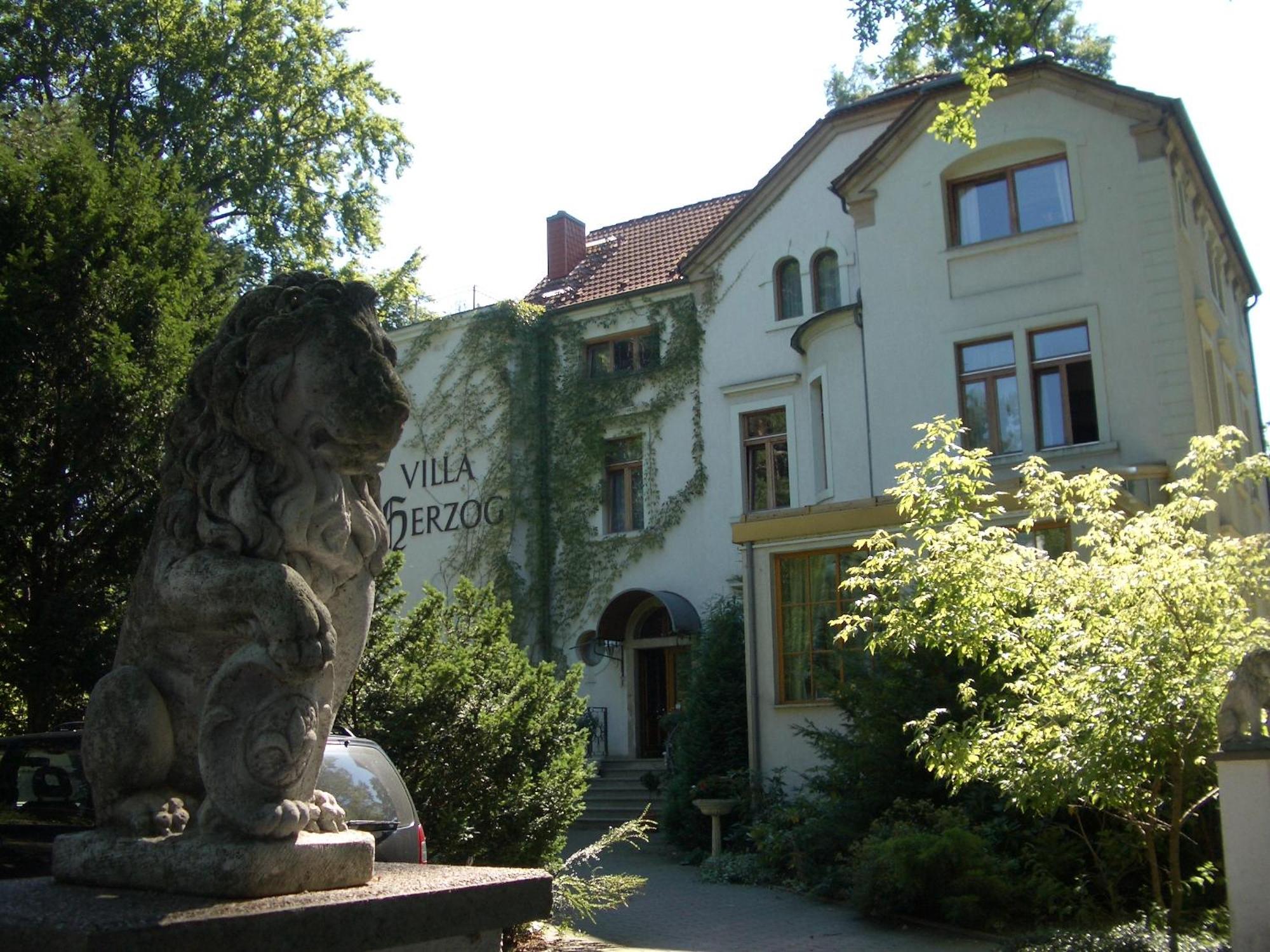 Hotel Villa Herzog Dresden Exterior photo